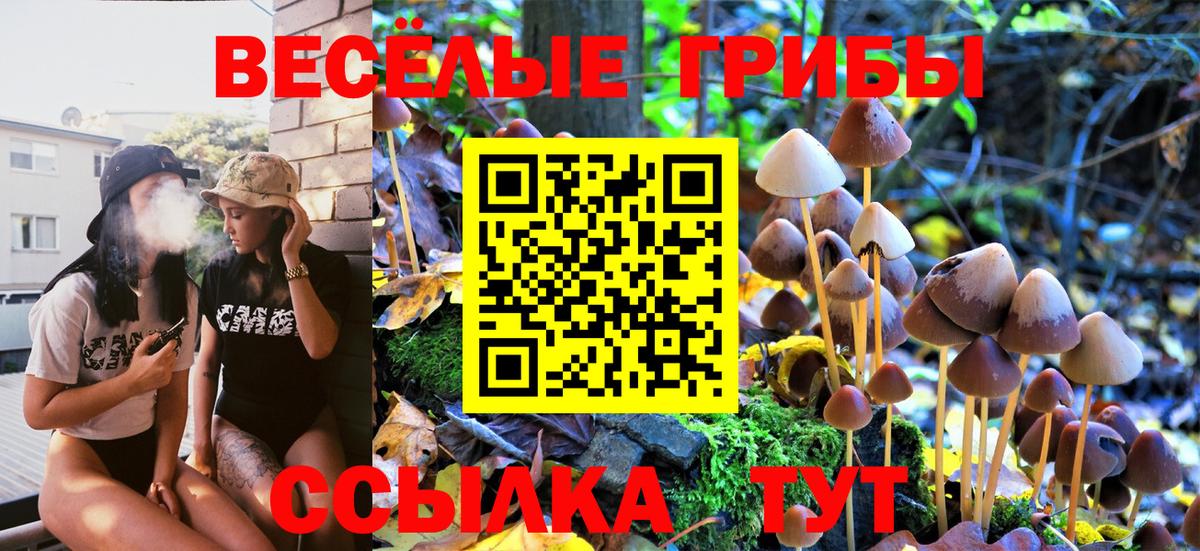 Шебекино  Галлюциногенные грибы Cubensis  цена наркотик  Вход с VPN 